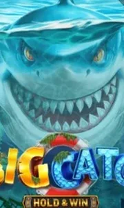 A Big Catch - Hold & Win